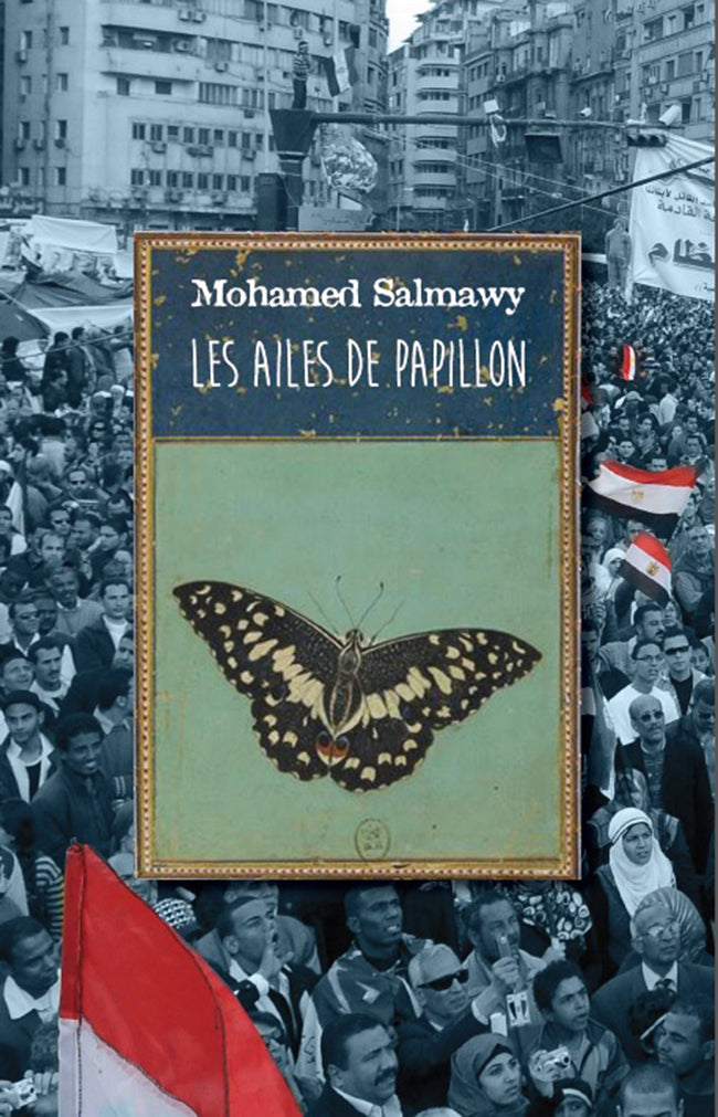 Les ailes de papillon